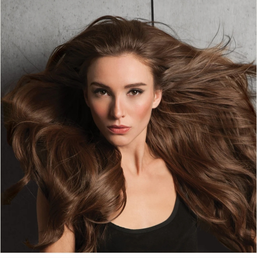 Hairdo Hoop invisible halo extension Chocolate copper